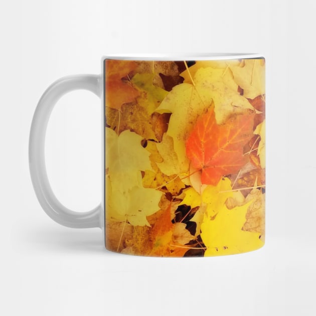 Fall leaves by Tara Liz Art